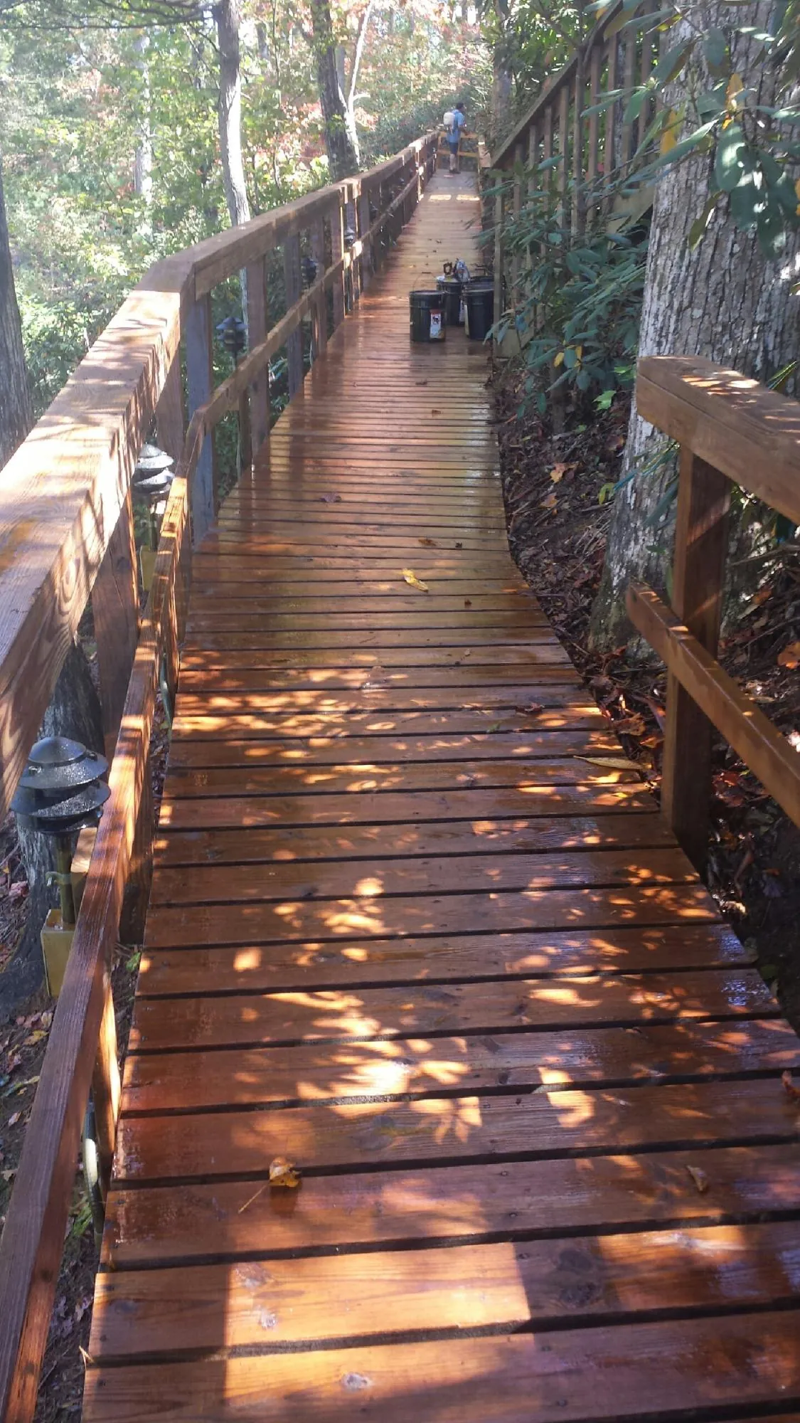 Freshly stained wood walkway winding through the woods in Baldwin Park